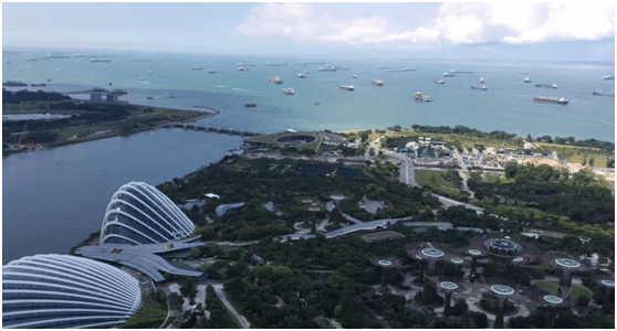 记新利体育管理进步奖获得者新马六天游